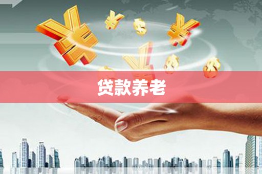 金阳贷款养老
