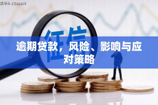 金阳逾期贷款，风险、影响与应对策略