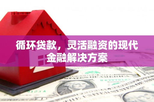 金阳循环贷款，灵活融资的现代金融解决方案