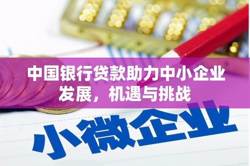 金阳中国银行贷款助力中小企业发展，机遇与挑战