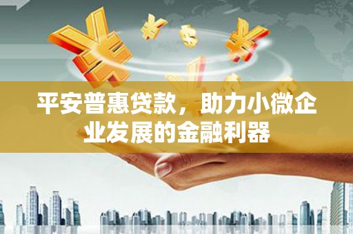 金阳平安普惠贷款，助力小微企业发展的金融利器