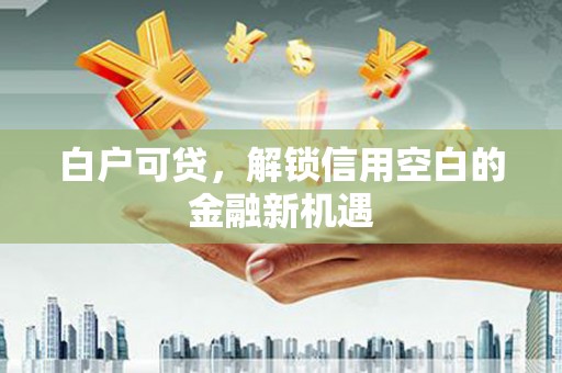 金阳白户可贷，解锁信用空白的金融新机遇