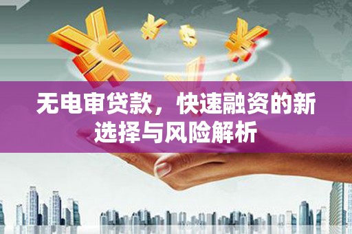 金阳无电审贷款，快速融资的新选择与风险解析