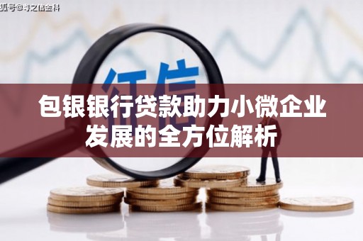 金阳包银银行贷款助力小微企业发展的全方位解析