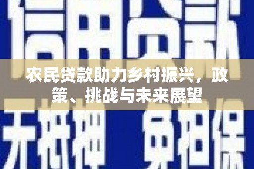金阳农民贷款助力乡村振兴，政策、挑战与未来展望