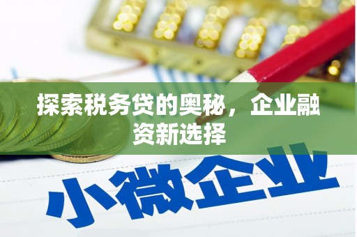 金阳探索税务贷的奥秘，企业融资新选择