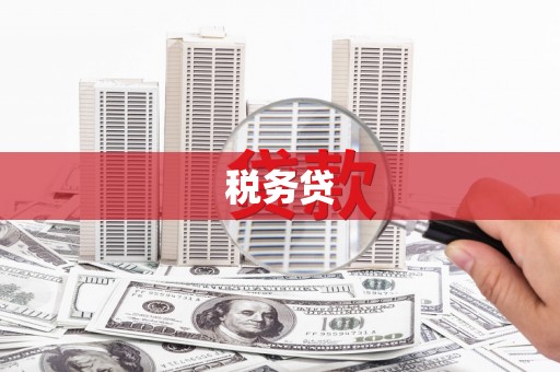 金阳税务贷