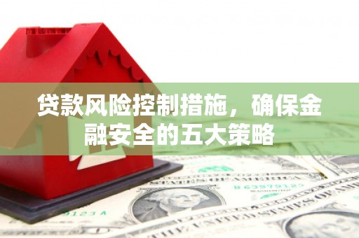 金阳贷款风险控制措施，确保金融安全的五大策略