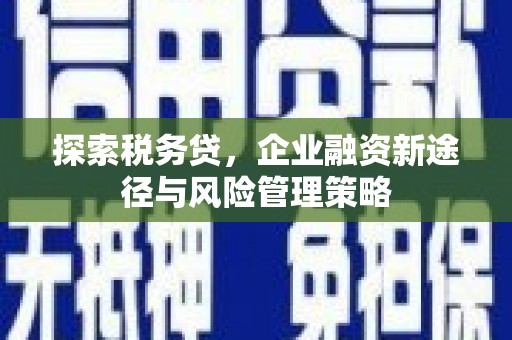 金阳探索税务贷，企业融资新途径与风险管理策略