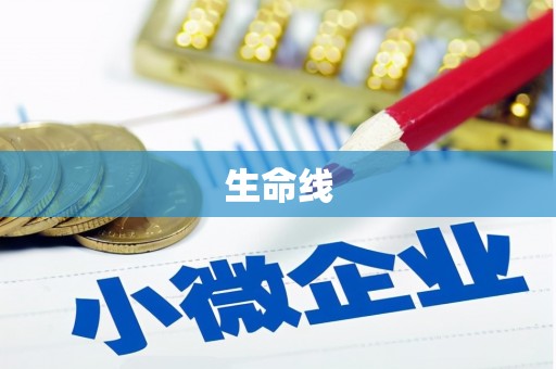 金阳生命线