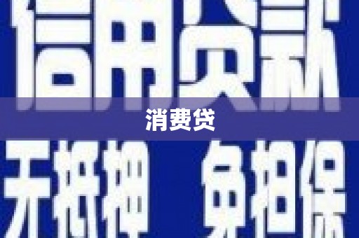 金阳消费贷