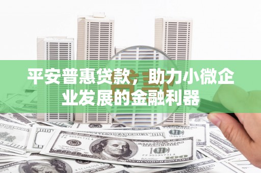 金阳平安普惠贷款，助力小微企业发展的金融利器