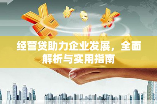 金阳经营贷助力企业发展，全面解析与实用指南
