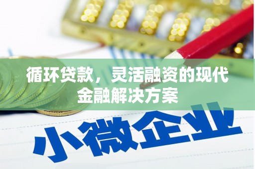金阳循环贷款，灵活融资的现代金融解决方案