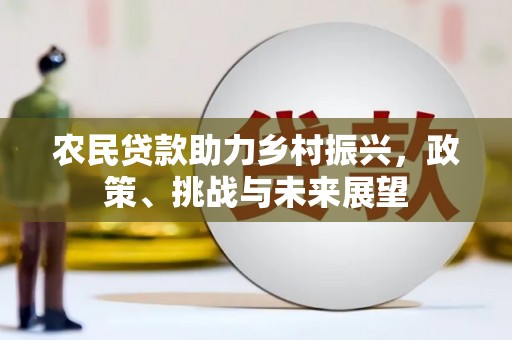 金阳农民贷款助力乡村振兴，政策、挑战与未来展望