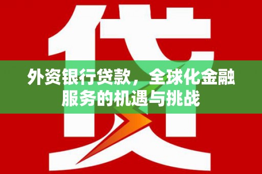 金阳外资银行贷款，全球化金融服务的机遇与挑战
