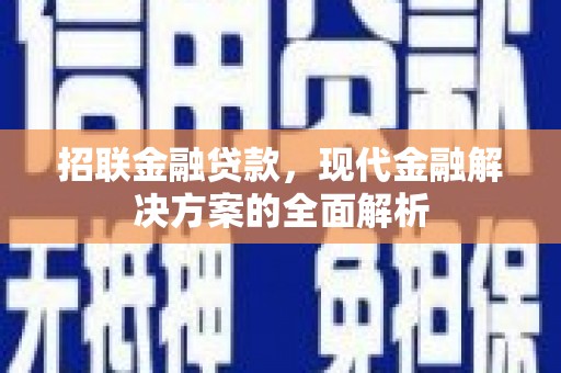 金阳招联金融贷款，现代金融解决方案的全面解析