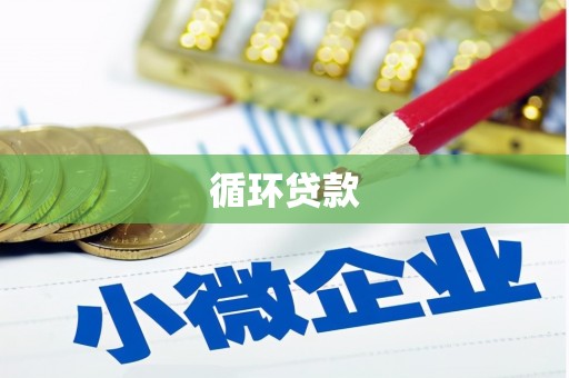金阳循环贷款