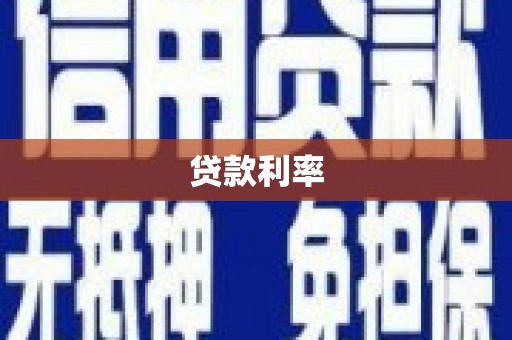 金阳贷款利率