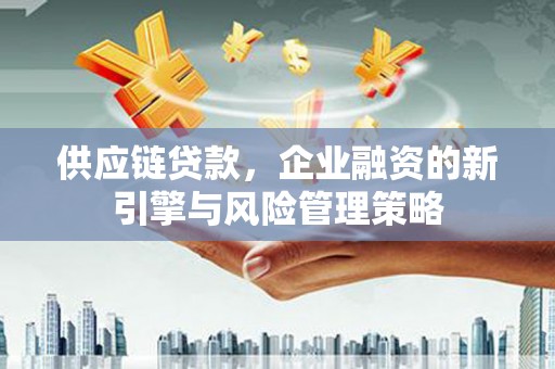 金阳供应链贷款，企业融资的新引擎与风险管理策略
