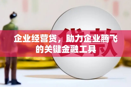 金阳企业经营贷，助力企业腾飞的关键金融工具