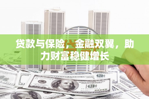 金阳贷款与保险，金融双翼，助力财富稳健增长