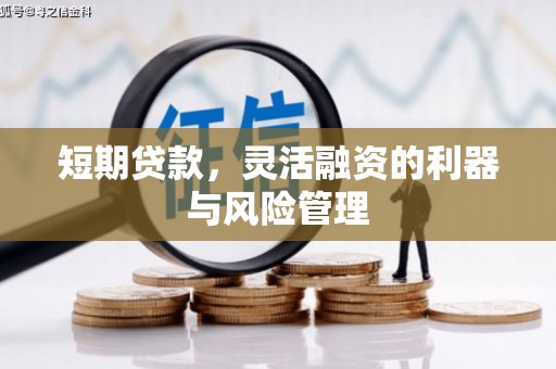 金阳短期贷款，灵活融资的利器与风险管理