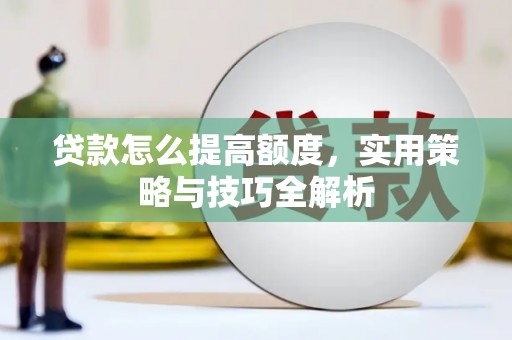 金阳贷款怎么提高额度，实用策略与技巧全解析