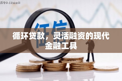 金阳循环贷款，灵活融资的现代金融工具