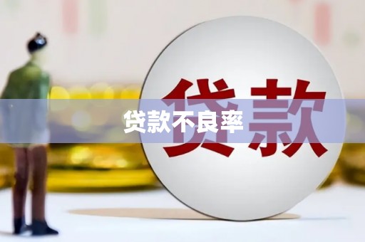 金阳贷款不良率