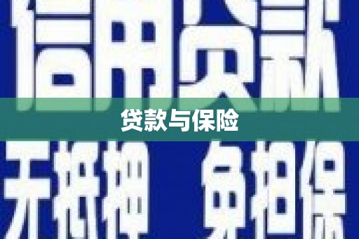 金阳贷款与保险