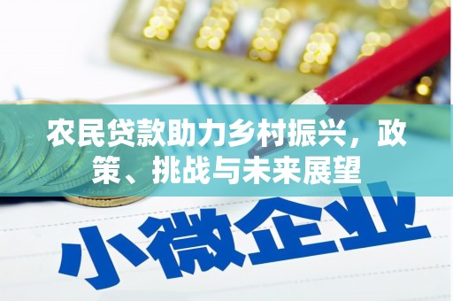 金阳农民贷款助力乡村振兴，政策、挑战与未来展望