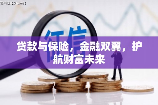 金阳贷款与保险，金融双翼，护航财富未来
