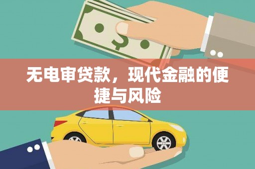 金阳无电审贷款，现代金融的便捷与风险