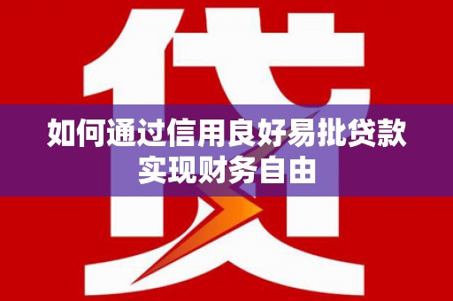 金阳如何通过信用良好易批贷款实现财务自由