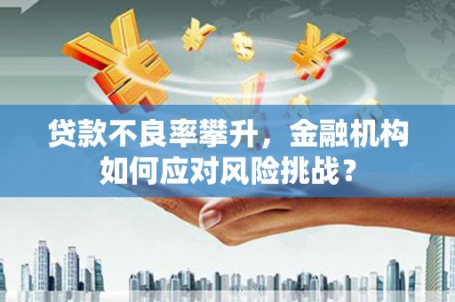 金阳贷款不良率攀升，金融机构如何应对风险挑战？