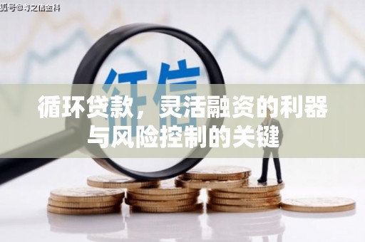 金阳循环贷款，灵活融资的利器与风险控制的关键