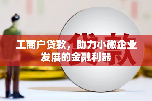 金阳工商户贷款，助力小微企业发展的金融利器