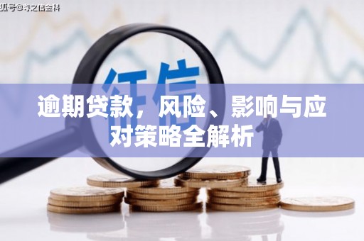 金阳逾期贷款，风险、影响与应对策略全解析