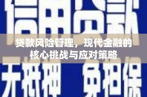 金阳贷款风险管理，现代金融的核心挑战与应对策略