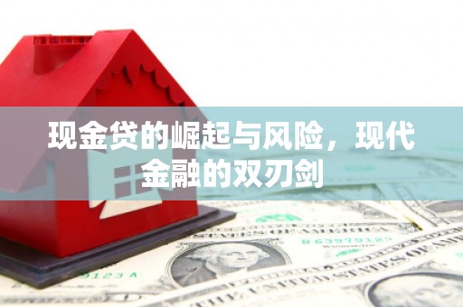 金阳现金贷的崛起与风险，现代金融的双刃剑