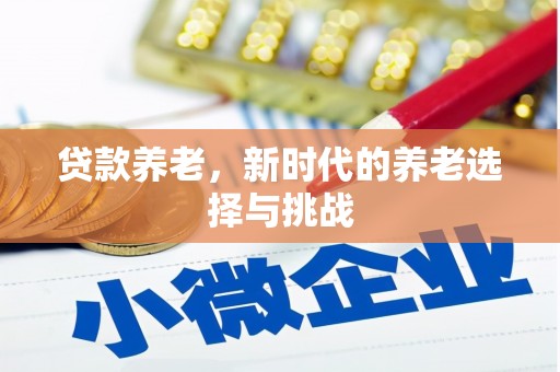 金阳贷款养老，新时代的养老选择与挑战