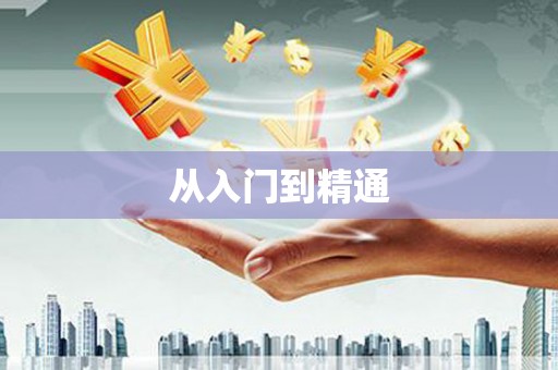 金阳从入门到精通