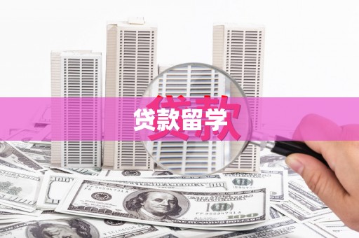 金阳贷款留学