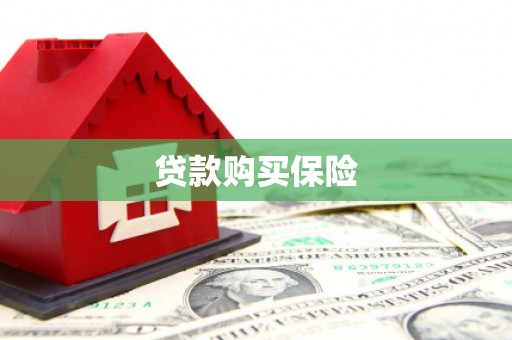 金阳贷款购买保险