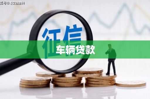 金阳车辆贷款