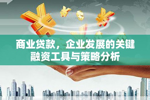 金阳商业贷款，企业发展的关键融资工具与策略分析