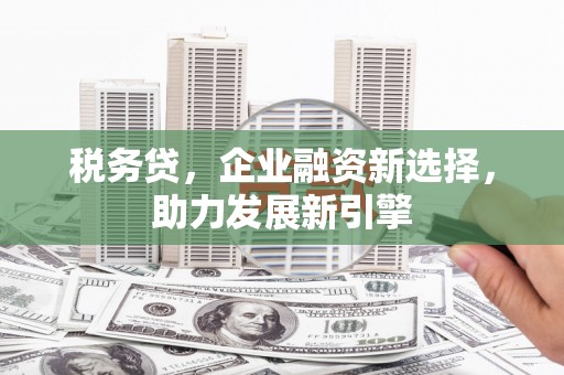 金阳税务贷，企业融资新选择，助力发展新引擎