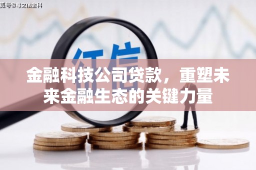 金阳金融科技公司贷款，重塑未来金融生态的关键力量