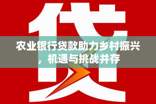 金阳农业银行贷款助力乡村振兴，机遇与挑战并存